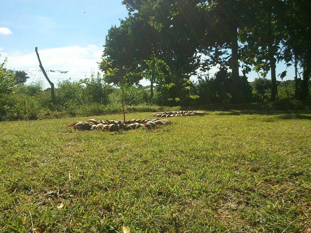 Yala Eco Tree House New Hotel Tissamaharama Exterior foto