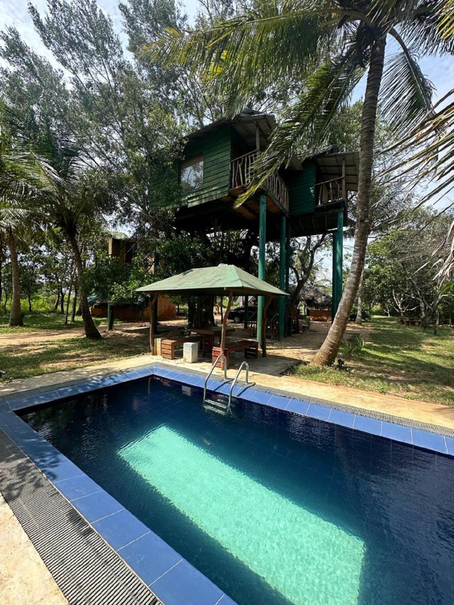 Yala Eco Tree House Hotel Tissamaharama Exterior foto