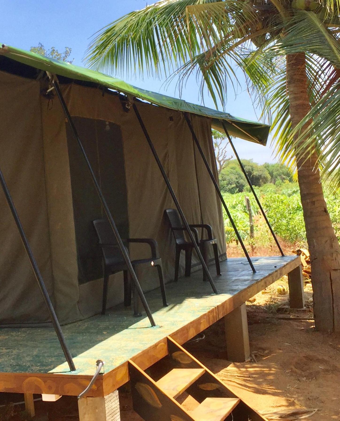 Yala Eco Tree House New Hotel Tissamaharama Exterior foto