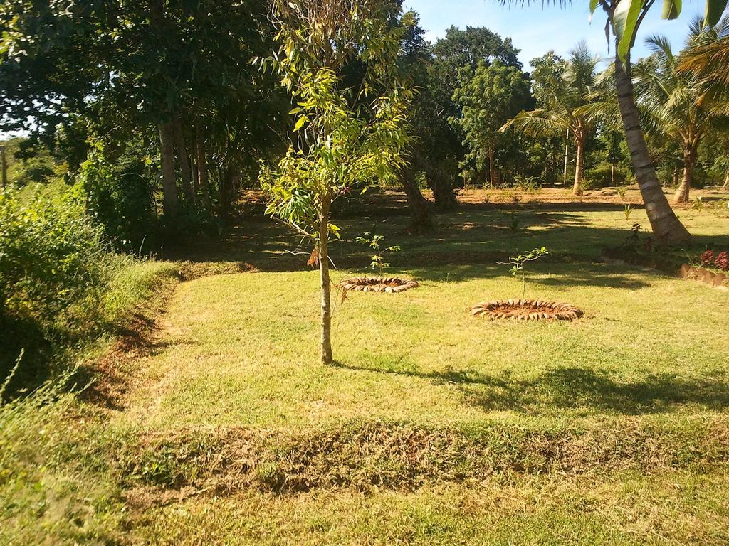 Yala Eco Tree House Hotel Tissamaharama Exterior foto