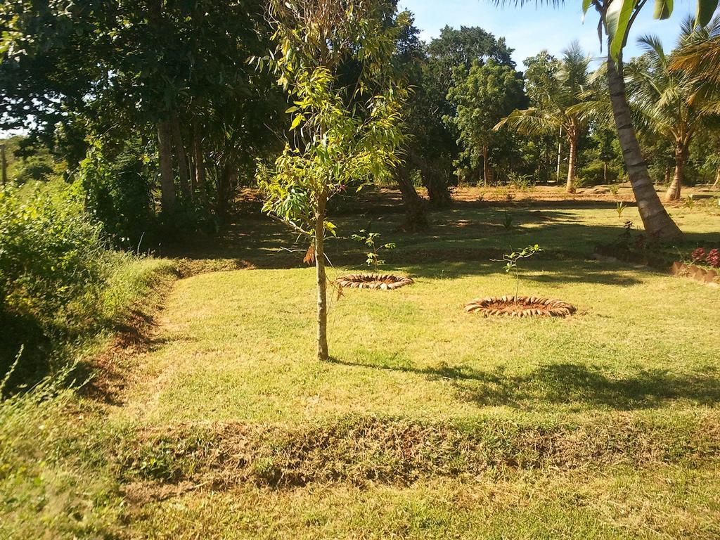 Yala Eco Tree House New Hotel Tissamaharama Exterior foto