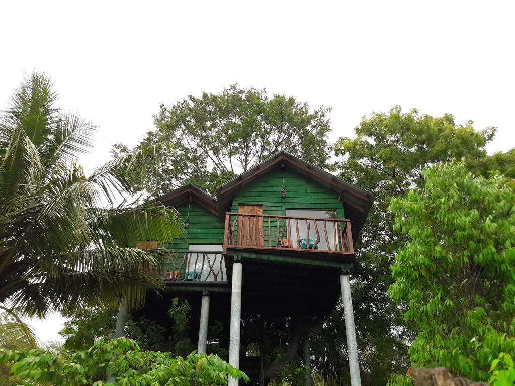 Yala Eco Tree House Hotel Tissamaharama Exterior foto