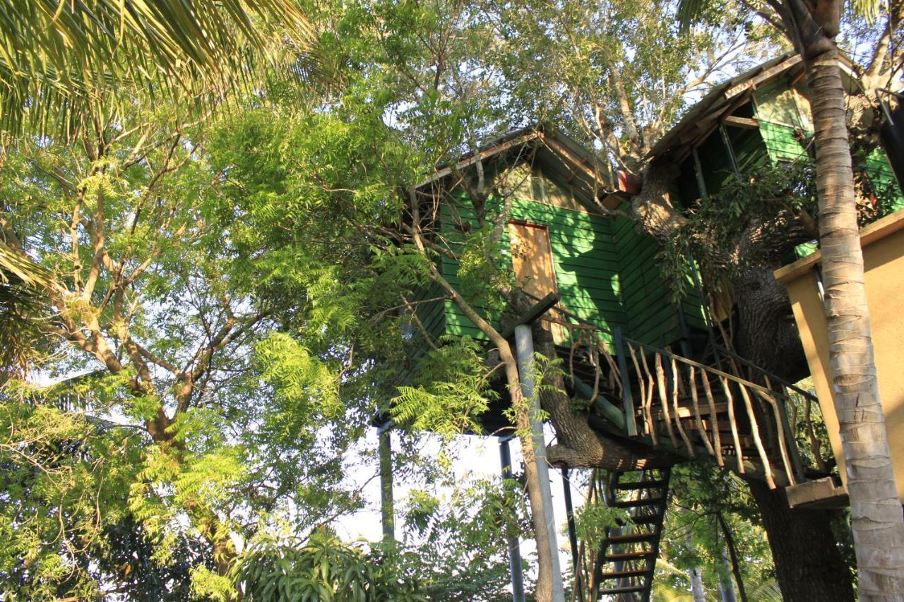 Yala Eco Tree House Hotel Tissamaharama Exterior foto