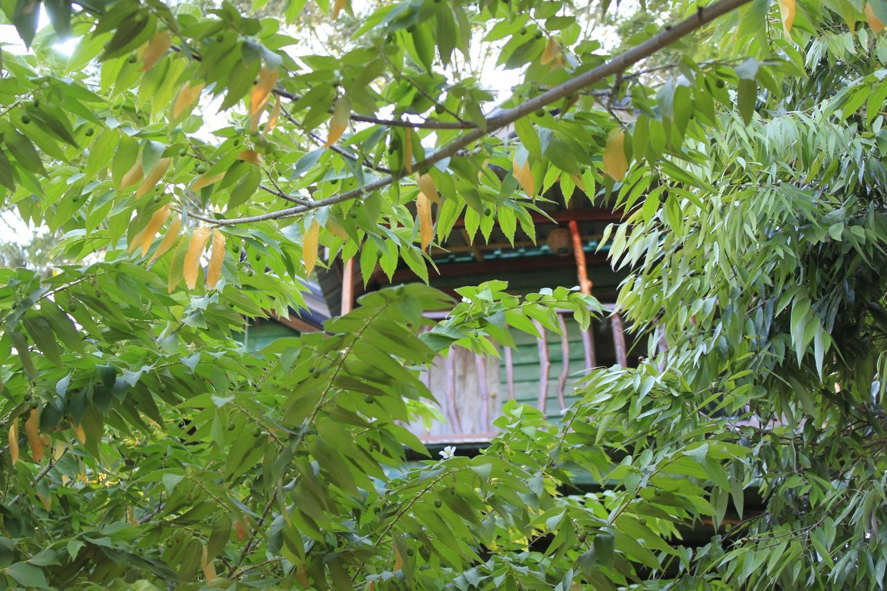 Yala Eco Tree House Hotel Tissamaharama Exterior foto
