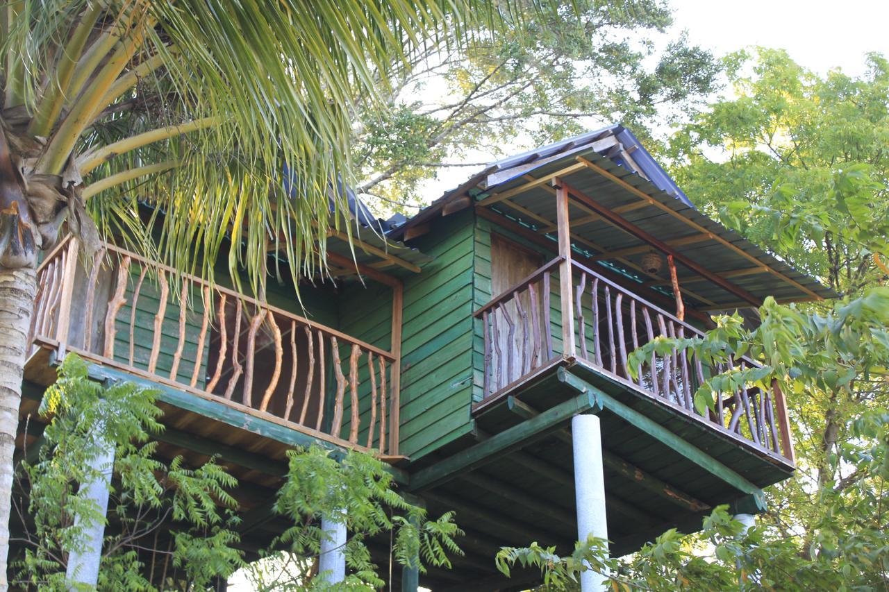 Yala Eco Tree House New Hotel Tissamaharama Exterior foto