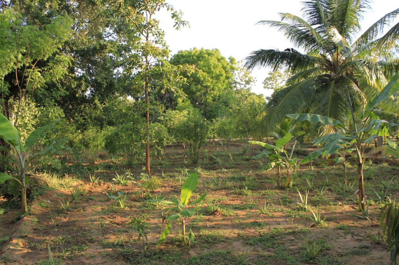 Yala Eco Tree House New Hotel Tissamaharama Exterior foto