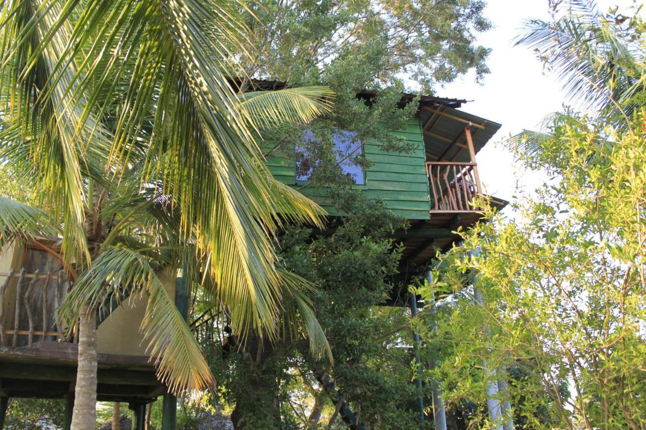 Yala Eco Tree House Hotel Tissamaharama Exterior foto