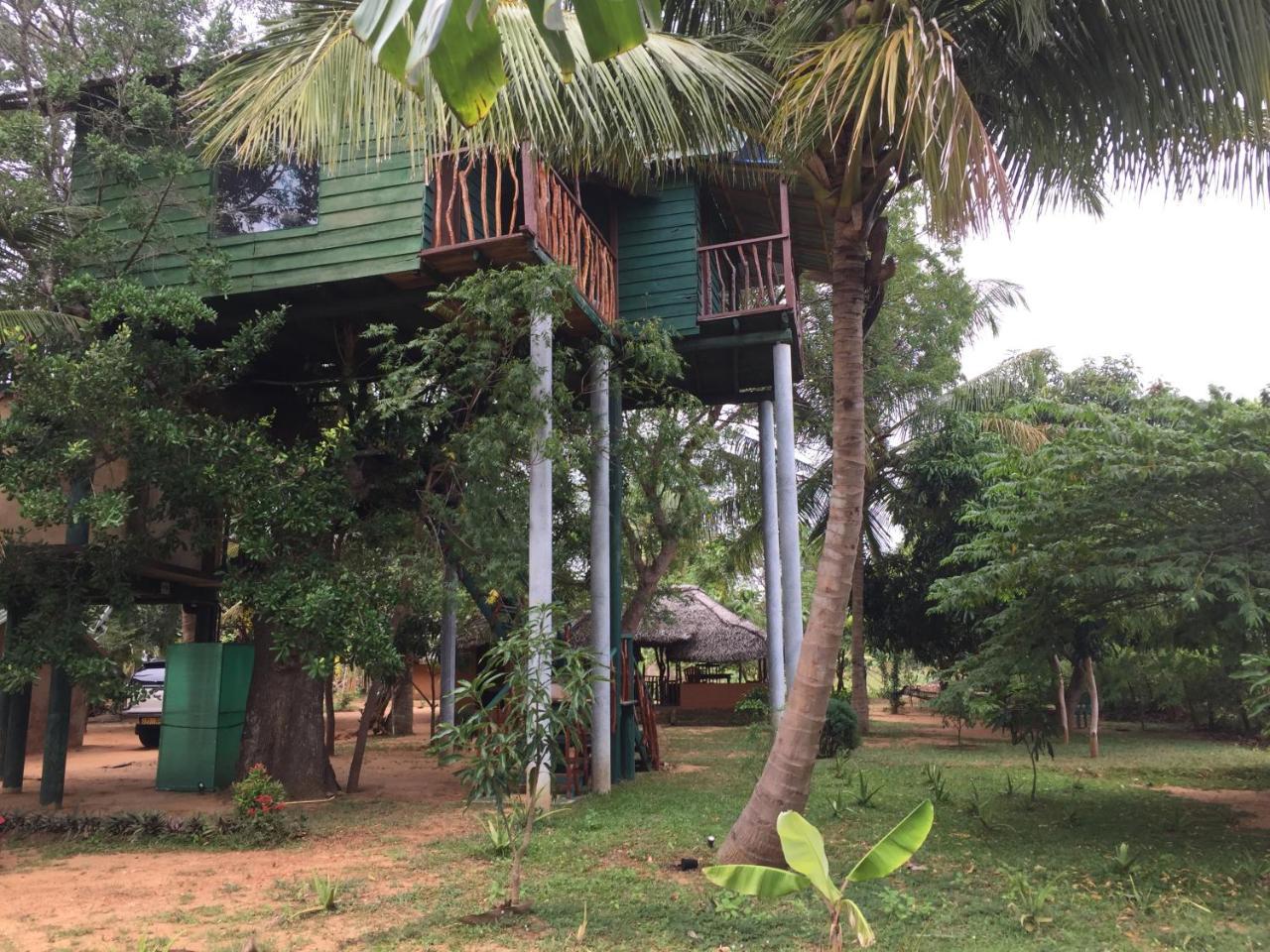 Yala Eco Tree House New Hotel Tissamaharama Exterior foto