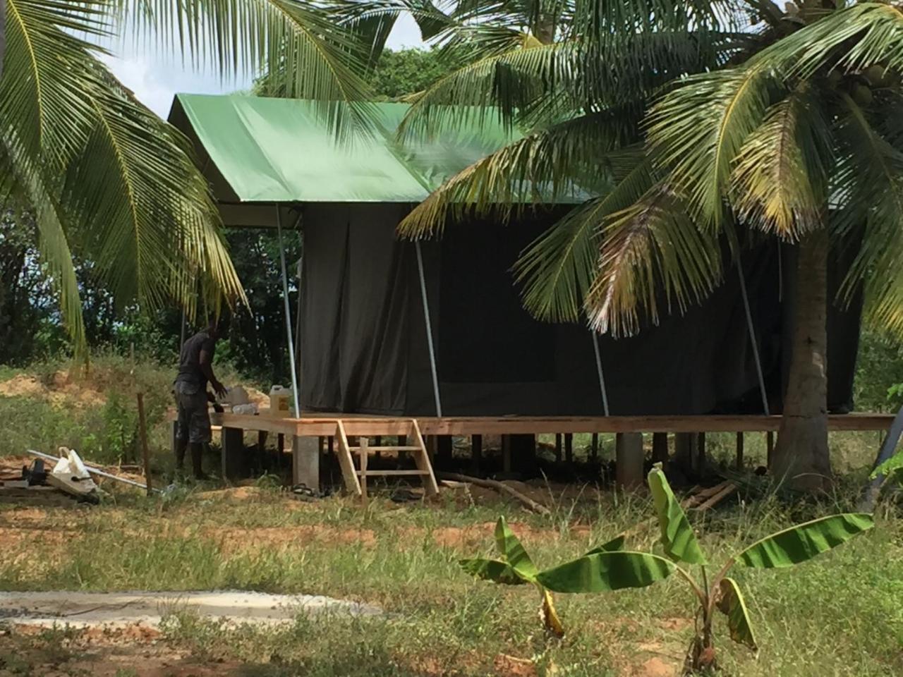 Yala Eco Tree House New Hotel Tissamaharama Exterior foto