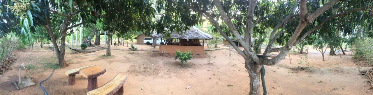 Yala Eco Tree House New Hotel Tissamaharama Exterior foto