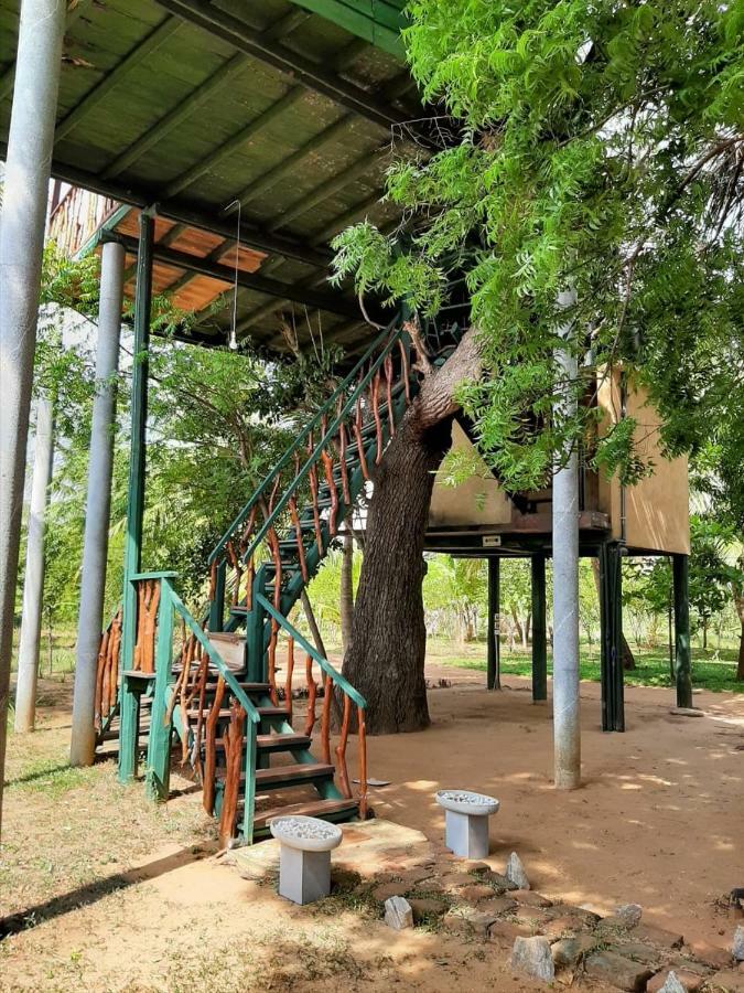 Yala Eco Tree House New Hotel Tissamaharama Exterior foto