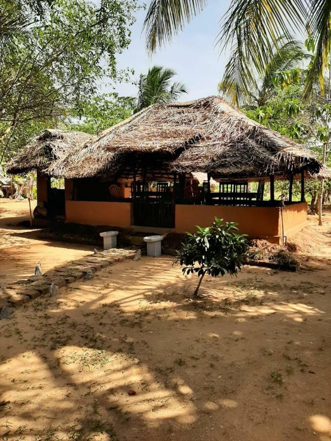 Yala Eco Tree House New Hotel Tissamaharama Exterior foto