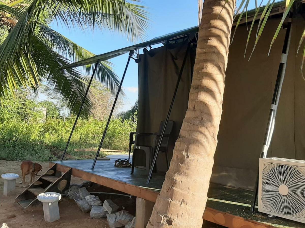 Yala Eco Tree House New Hotel Tissamaharama Exterior foto