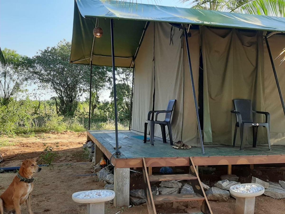Yala Eco Tree House New Hotel Tissamaharama Exterior foto