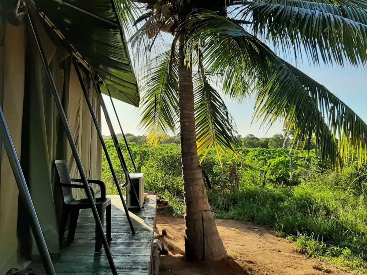 Yala Eco Tree House New Hotel Tissamaharama Exterior foto