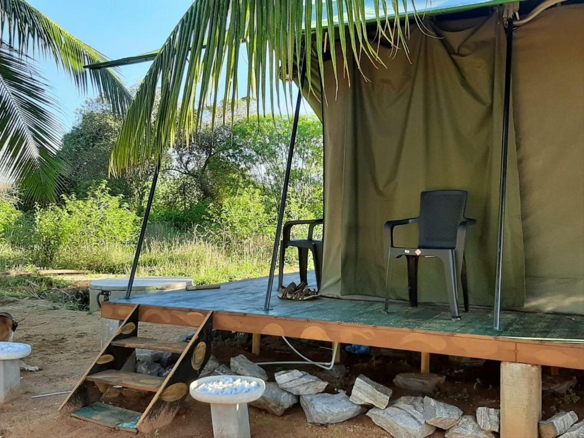 Yala Eco Tree House New Hotel Tissamaharama Exterior foto