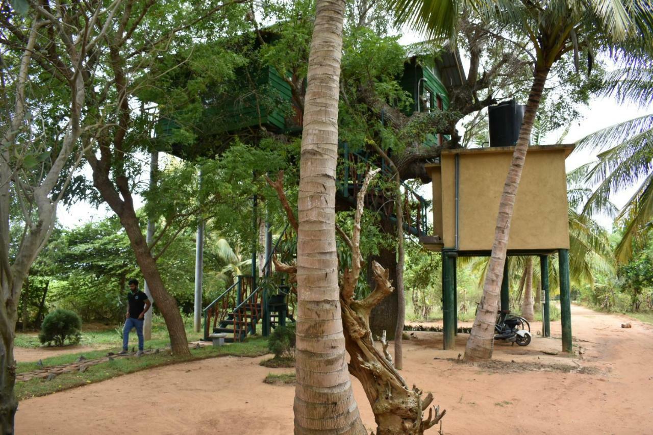 Yala Eco Tree House New Hotel Tissamaharama Exterior foto